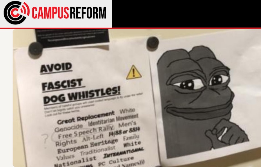 Pepe the Frog, innocent meme turned white supremacist icon