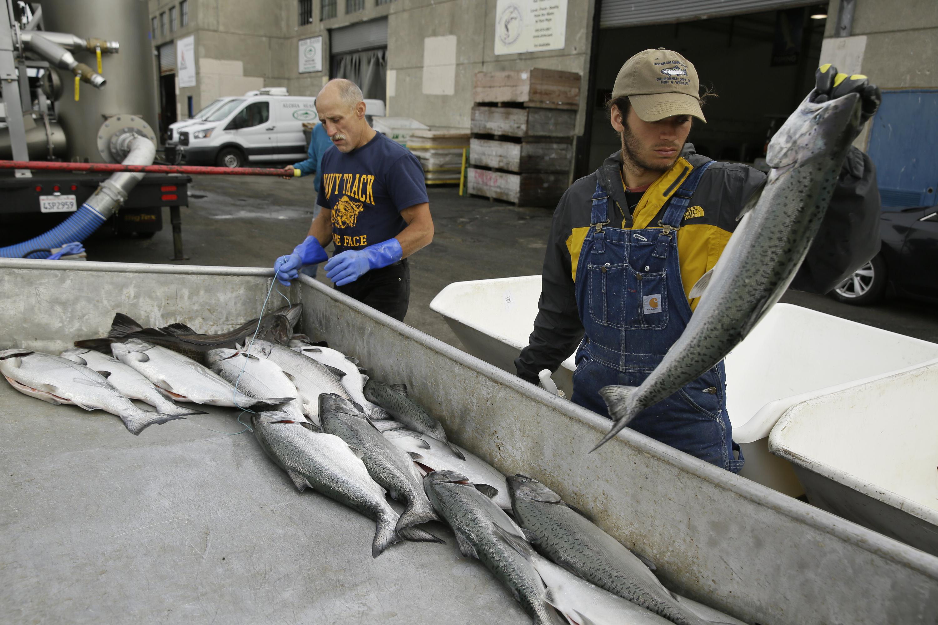 Pacific Ocean regulators decide to close California salmon fishing
