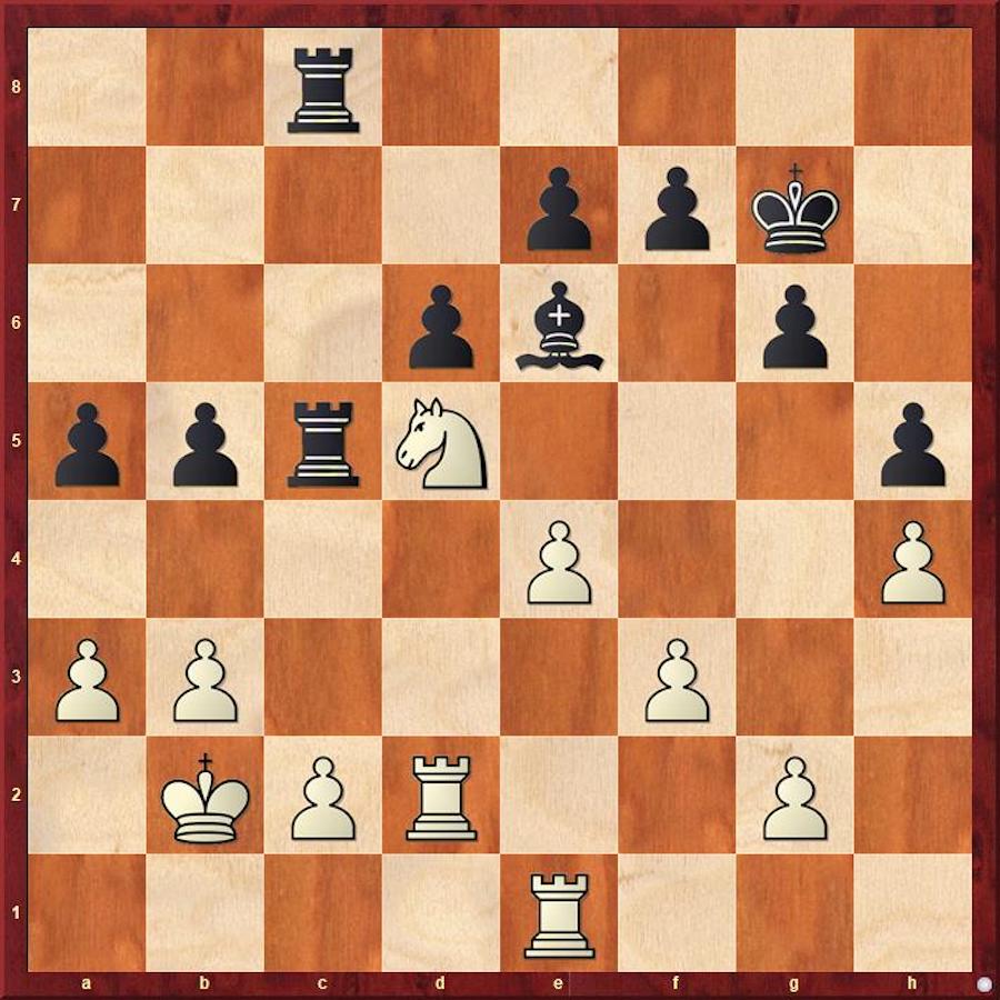 Anand vs Carlsen match will revive chess: Kasparov