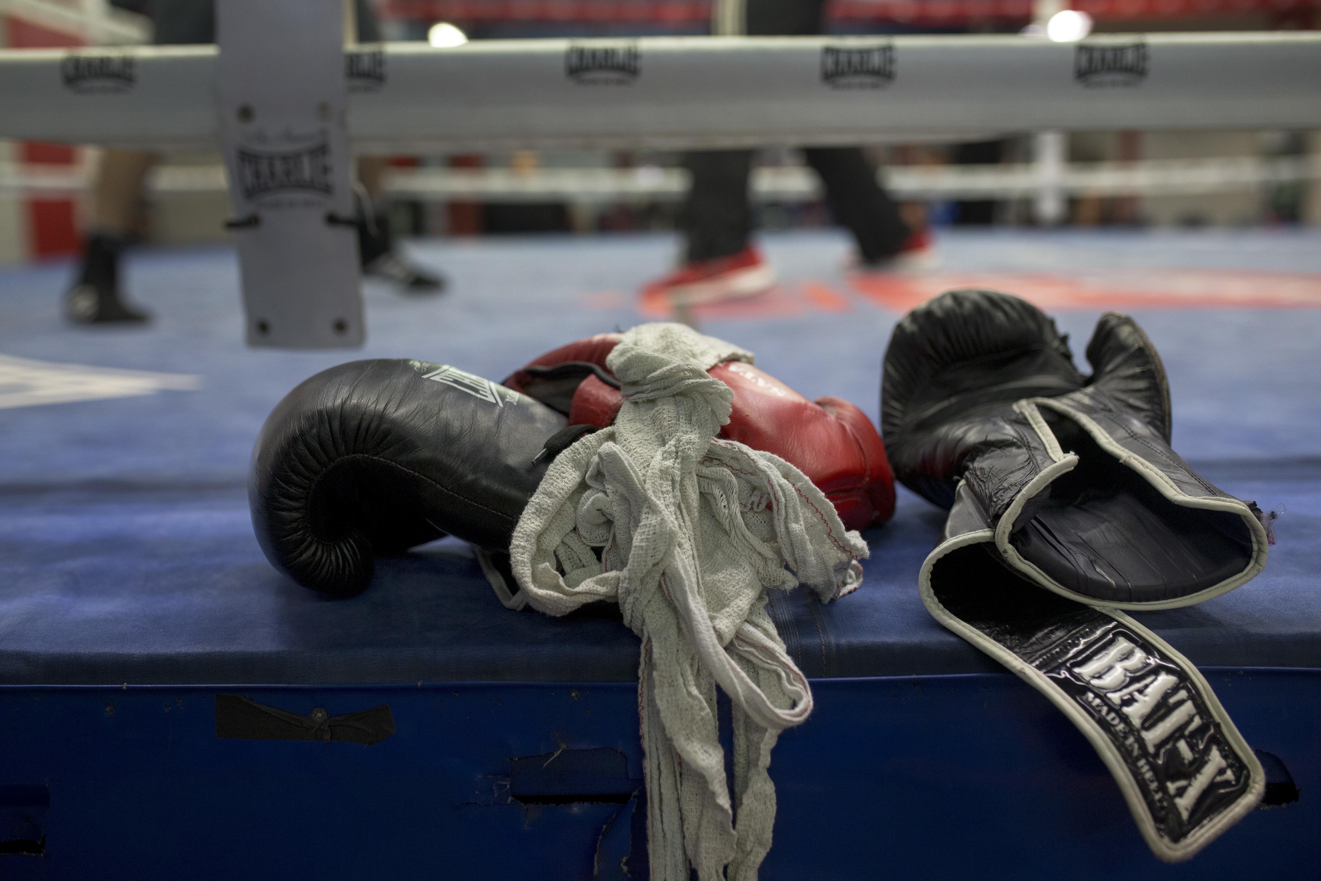 Boxers Under The Tree - An Initiative in support of transgender youth –  Aisle