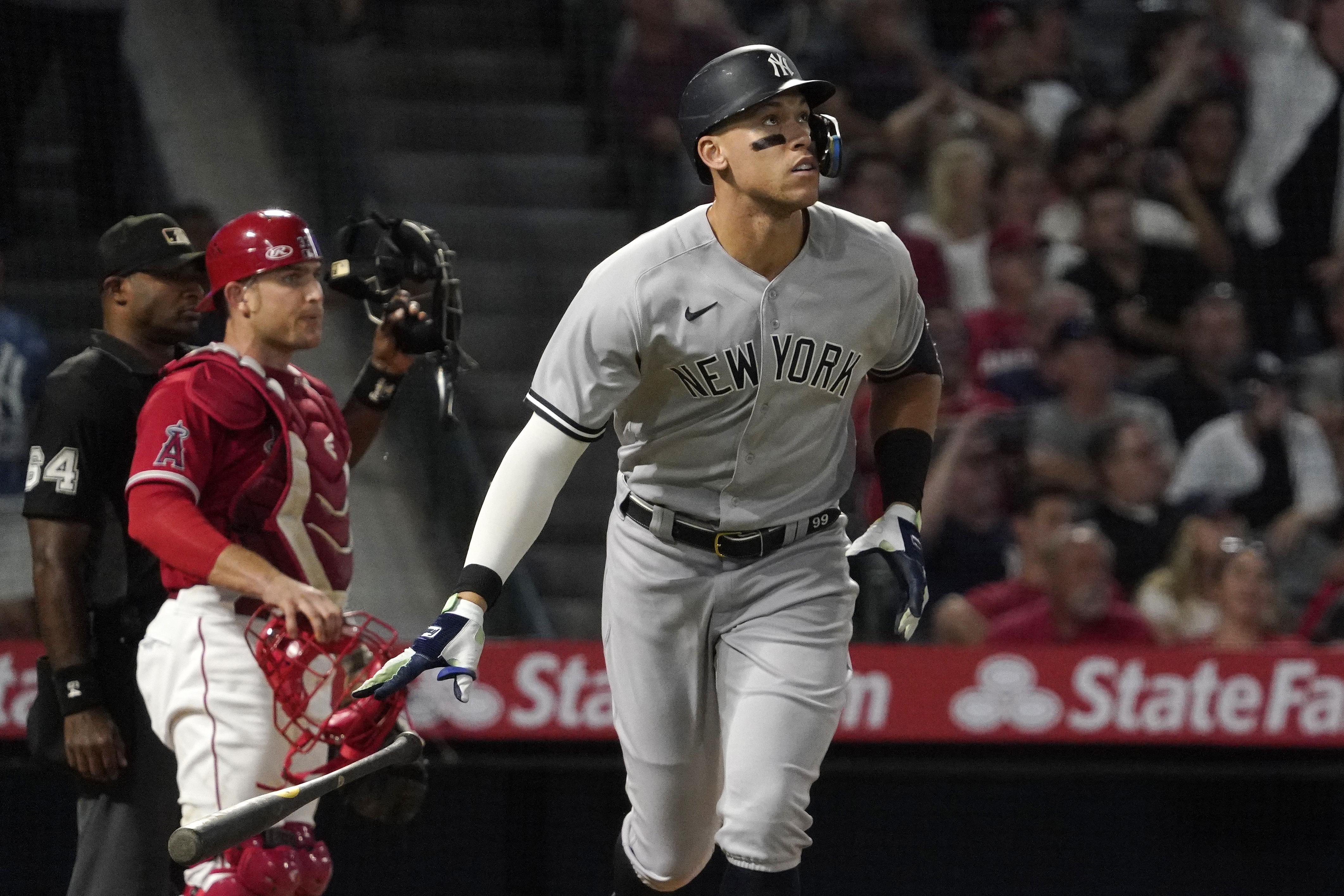 Anthony Rizzo used his dog to help Yankees keep Aaron Judge