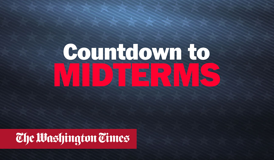 Countdown to midterms: A conversation with Kelly Sadler and Cheryl Chumley