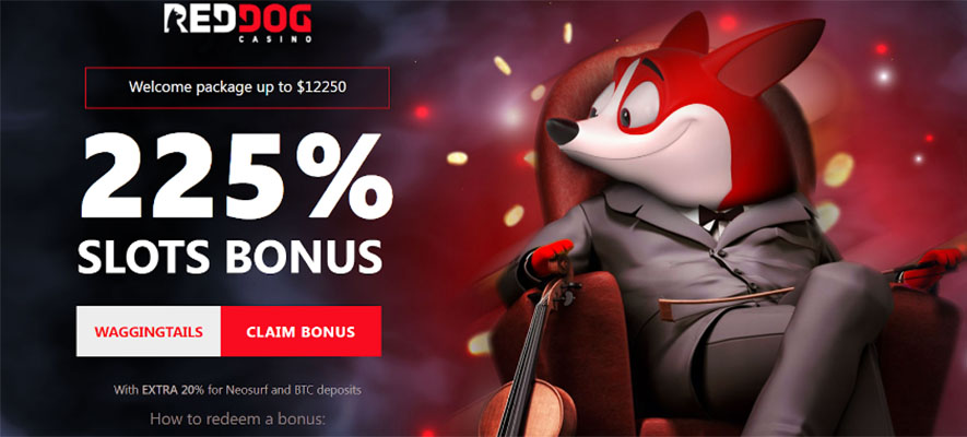 Top 6 Best Online Casinos to Play Real Money Games in 2023 - RedDog (sponsored)