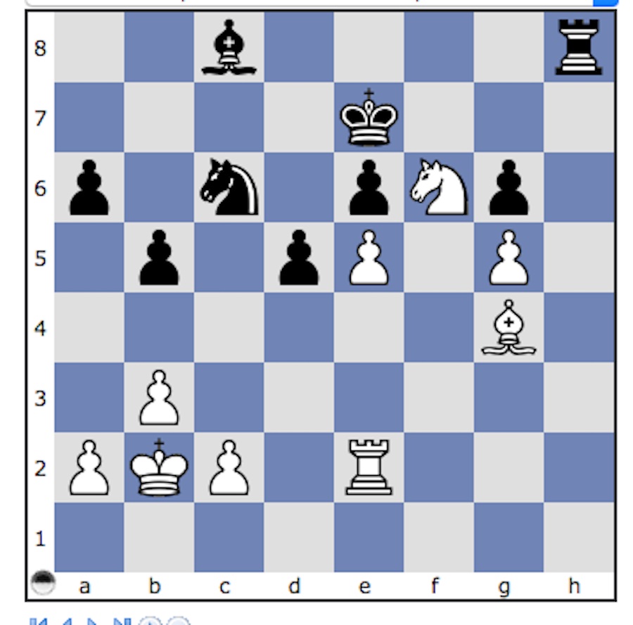 Magnus Carlsen wins a very important game against Anish Giri - Chess Forums  