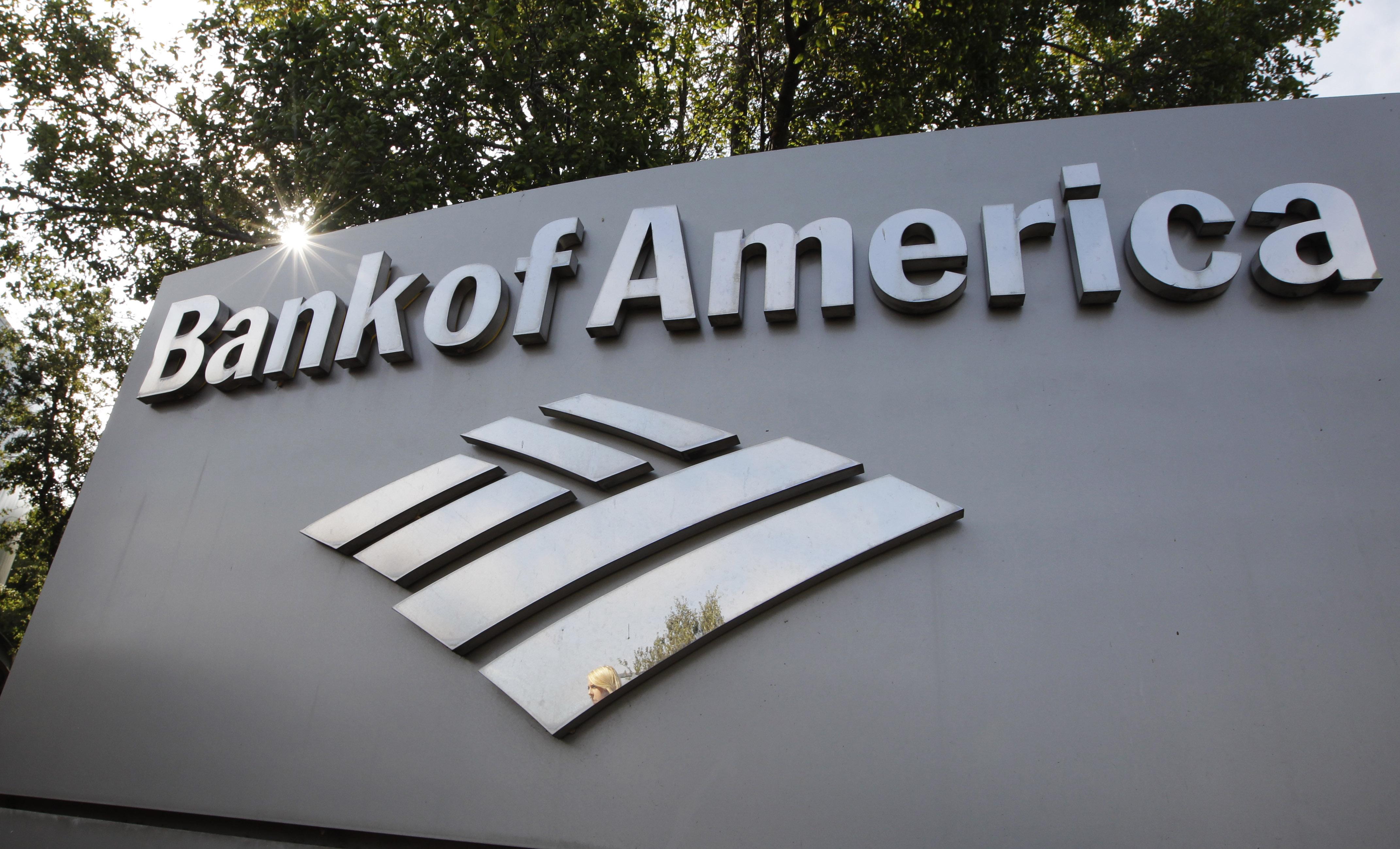 Brian Davis withdraws Commanders sale-related lawsuit against Bank of  America - Washington Times