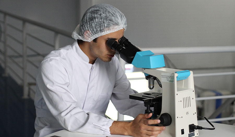 Shaping the Future of Medicine: How Mentorship is Redefining the Journey to Medical Residency (sponsored)