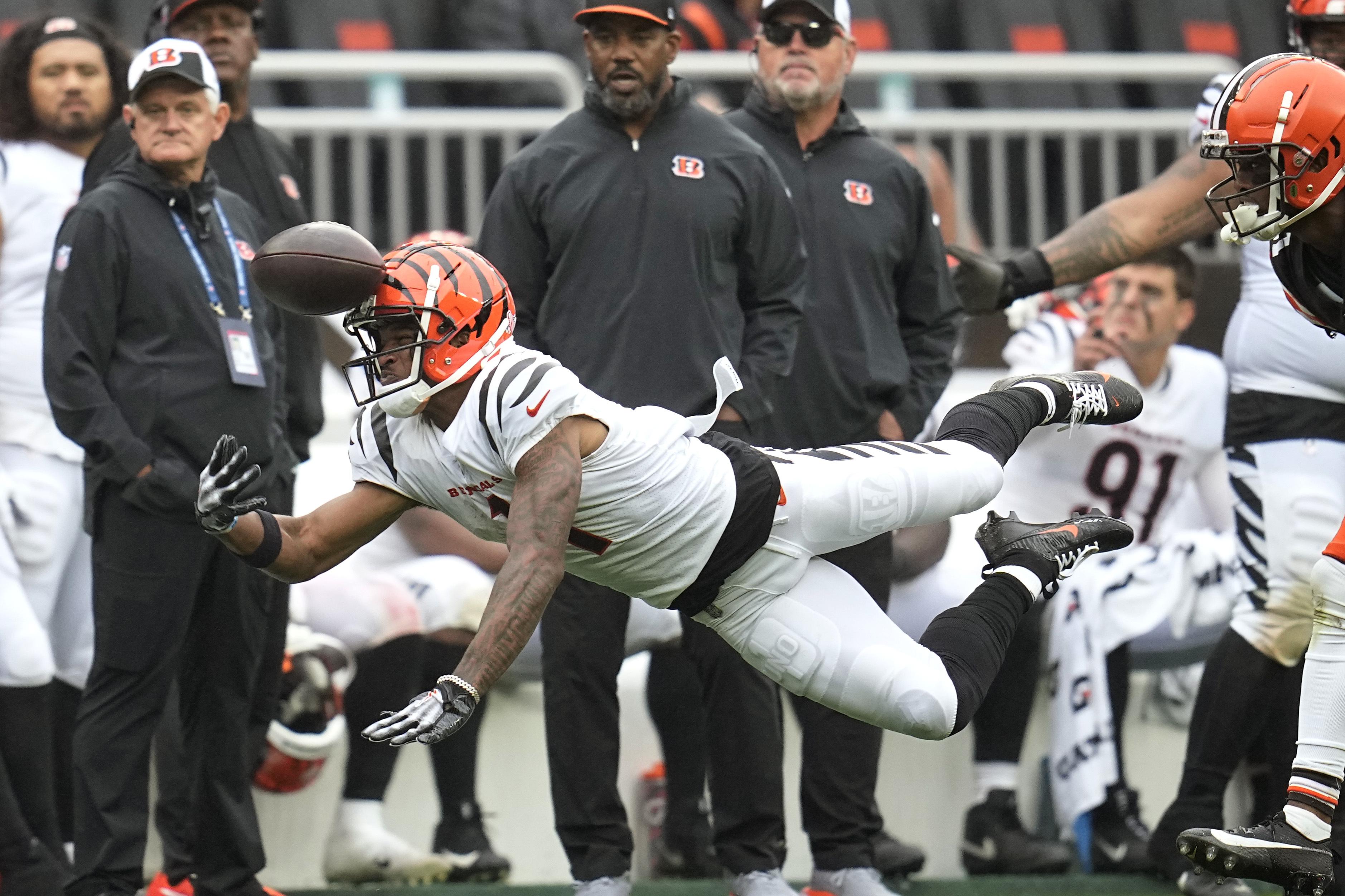 First look: Bengals end zone, sideline painted