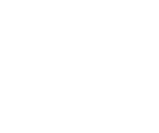 W Logo