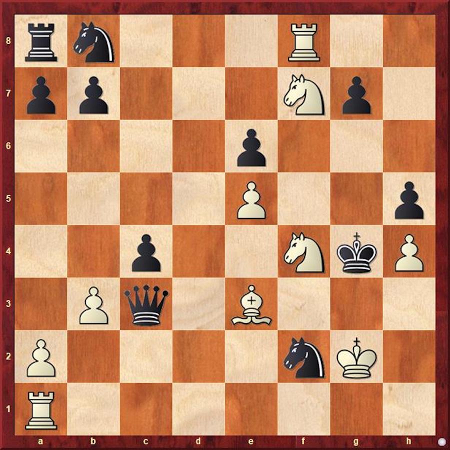Chess: Carlsen downs Gukesh, Arjun trumps Praggnanandhaa- The New