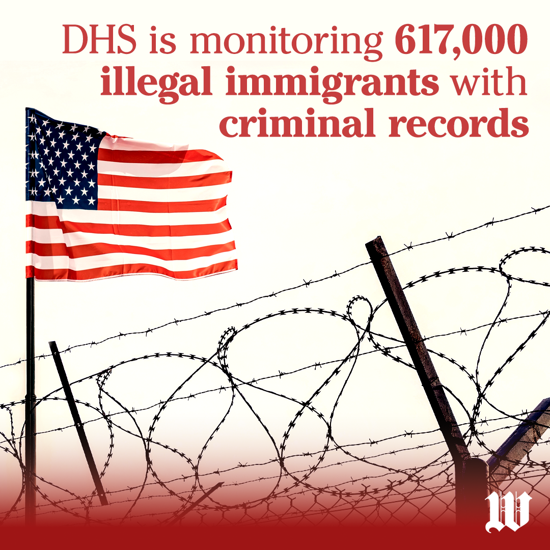 DHS Criminals