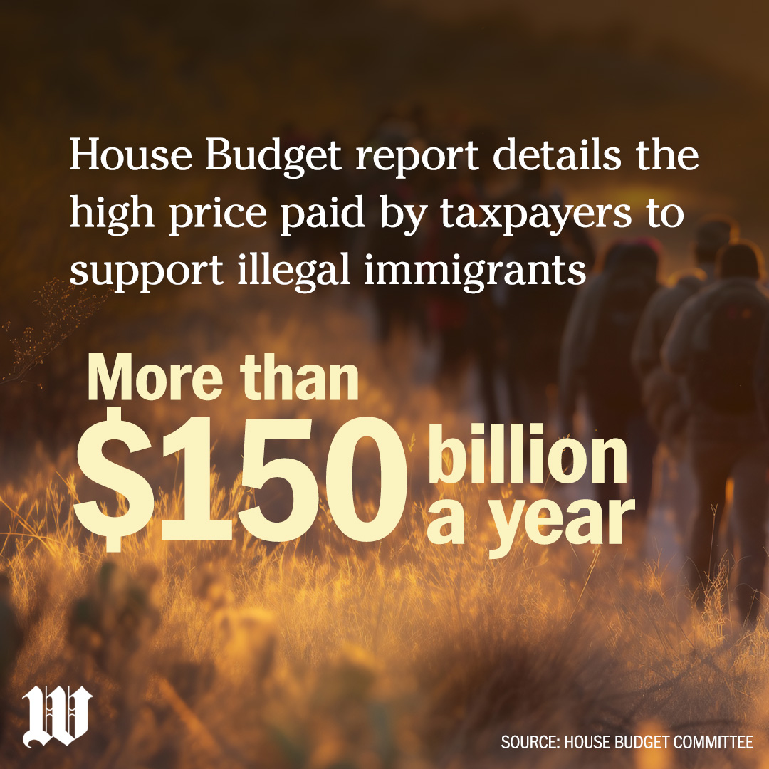 Illegal Immigration Cost