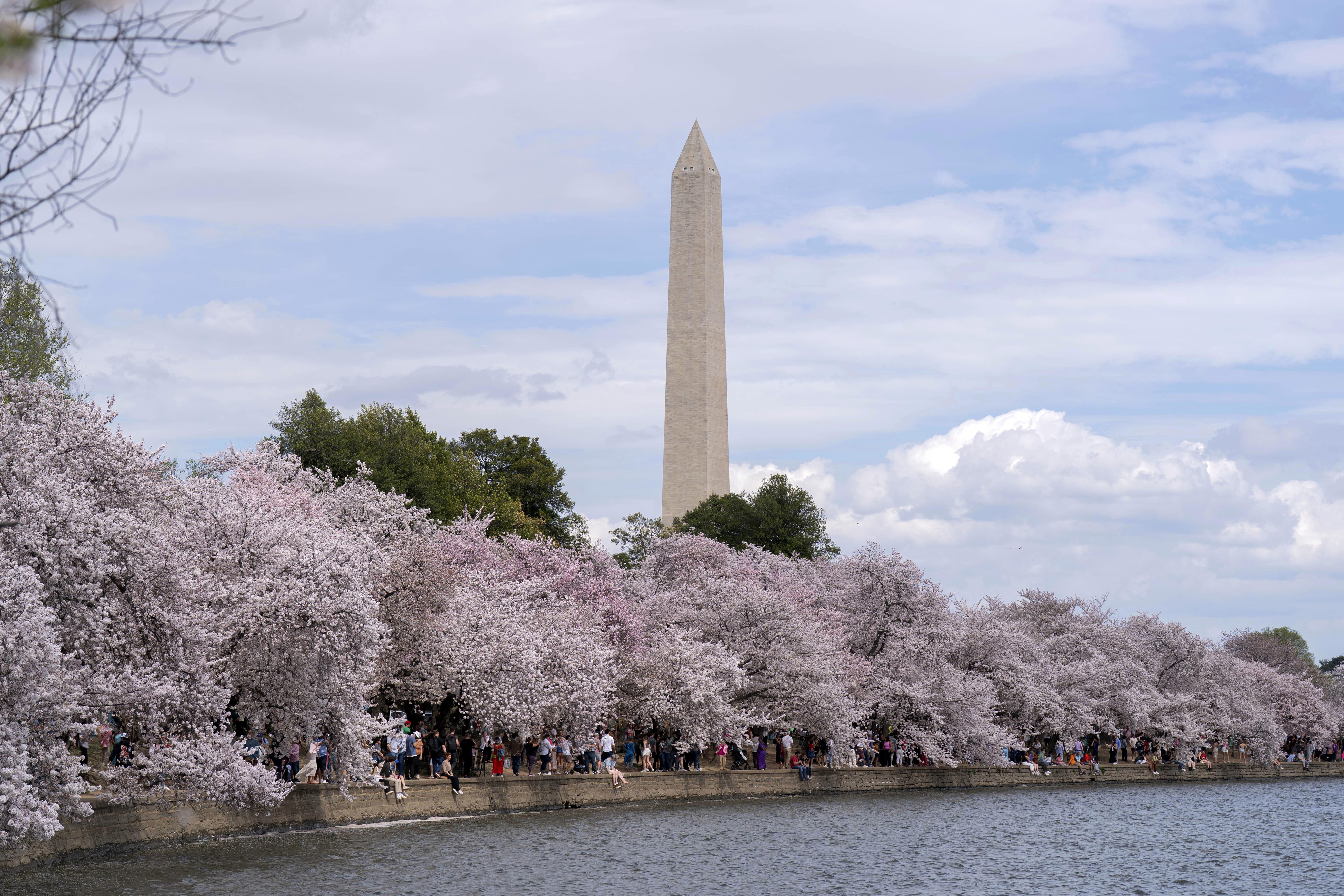 What To Do In Washington, DC: February - April 2026
