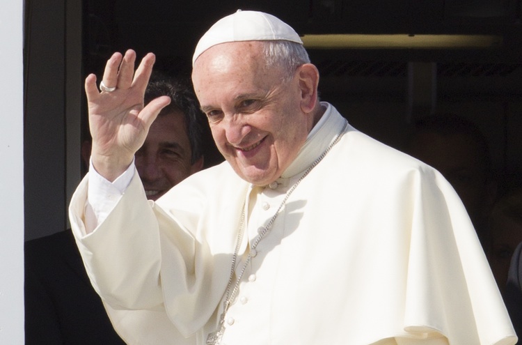 pontiff 39 s knights